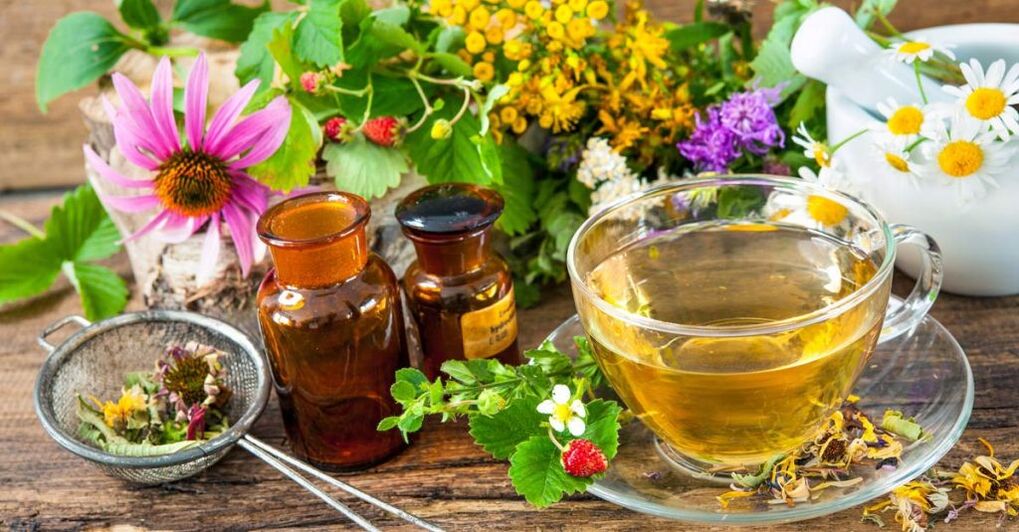 Infusioni di erbe per il trattamento dell'osteocondosi cervicale